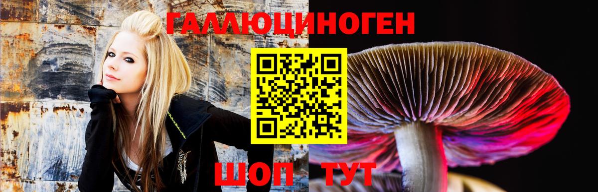 Галлюциногенные грибы мицелий Чита